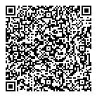 Starlight Taxi QR Card