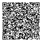 Bsa Diagnostic QR Card