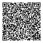 International News QR Card