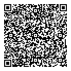 Borderless Inc QR Card