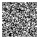 Downtown Fine Cars Inc QR Card