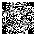 International News QR Card