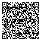 D M Automotive QR Card