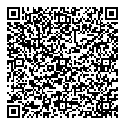 Toronto Chiropractor QR Card