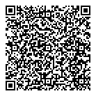 Data Xile QR Card