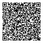 Digital Scope Ltd QR Card