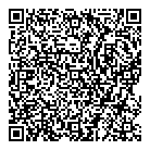 Bandis  Vision QR Card