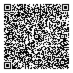 David Tonken Accountant QR Card