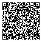 Data Insight Group QR Card