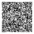 Domar Transmission Ltd QR Card