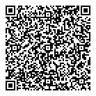 City Plastics Inc QR Card