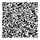 Dr A Levinson QR Card