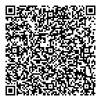 Biz-Fin Strategy Solutions Inc QR Card