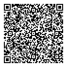Orgcode Consulting Inc QR Card