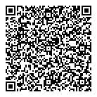 A1 Limo Services QR Card