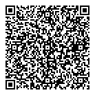 Mega City Locksmith QR Card