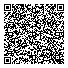 Dni Metals Inc QR Card