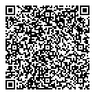 Q Logitek QR Card