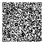 Peace Insurance  Financial QR Card