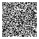 Bursan Pins QR Card