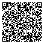 Mini Auto Sales  Repair QR Card