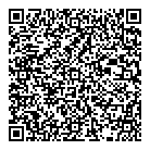 A  P Motors Inc QR Card