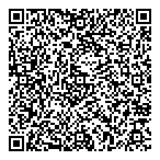 A1 Airline Taxi  Van Fleet QR Card