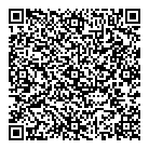 Dizzy Dingo QR Card