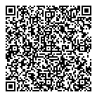 Gaind K S Md QR Card