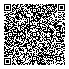 Toys Toys Toys QR Card