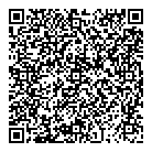 D L Graphics Inc QR Card