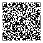 Silver Star Car Wash QR Card