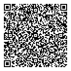 D'abadie R Consulting Services QR Card