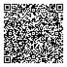 Dbm Group Inc QR Card