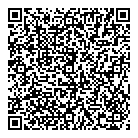 Dr T John Iddiols QR Card