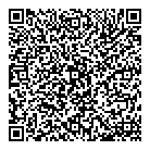 Ramtin Azizi QR Card