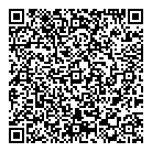 D2 Auto Sales Inc QR Card