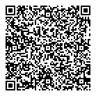 Blinkinfotech Inc QR Card