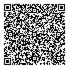 Pyramid Consulting QR Card