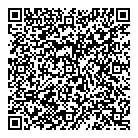 Ghanaian News QR Card