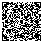 Geo Morphix QR Card