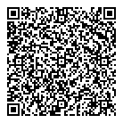 Vvs Films QR Card