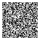 V C Strategic QR Card