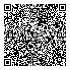 Deluxe Cleaners QR Card