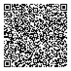 Informatique Francois Brntchz QR Card