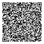 Mecanique Analytique Ix QR Card