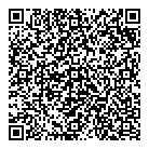 Taxi Black Lake QR Card