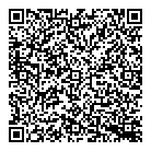 Kcg Strategies QR Card