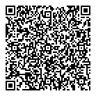 Lumisolution Inc QR Card