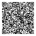 Amusements Dl Inc QR Card